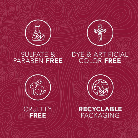 TropiClean Enticers Cleaning Gel & Toothbrush Hickory Bacon Large Dog (2 oz)