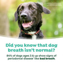 Tropiclean Fresh Breath Water Additive Plus Hip & Joint Support for Dogs-4