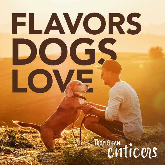 TropiClean Enticers Cleaning Gel & Toothbrush Hickory Bacon Large Dog (2 oz)