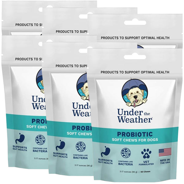 Under the Weather Probiotic Soft Chews for Dogs 6-pack