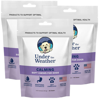 Under the Weather Calming Soft Chews for Dogs 3-pack