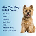 Under the Weather Antimicrobial Wound & Skin Care Spray for Dogs