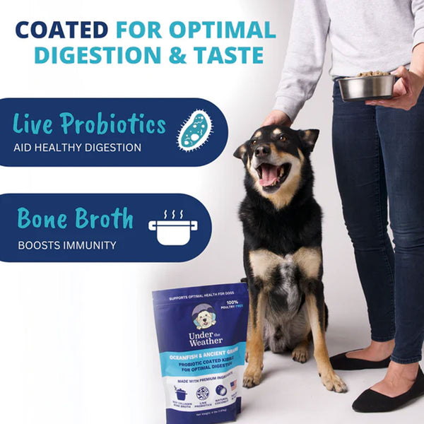 Under the Weather Probiotic & Bone Broth Coated Kibble for Dogs