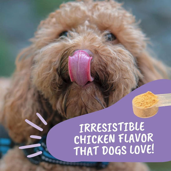 Under the Weather Calm & Relax Powder for Dogs