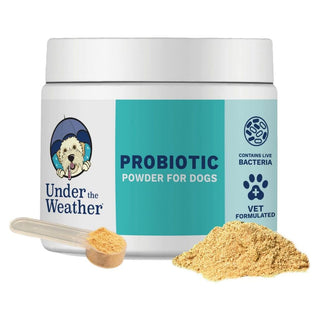 Under the Weather Probiotic Powder for Dogs