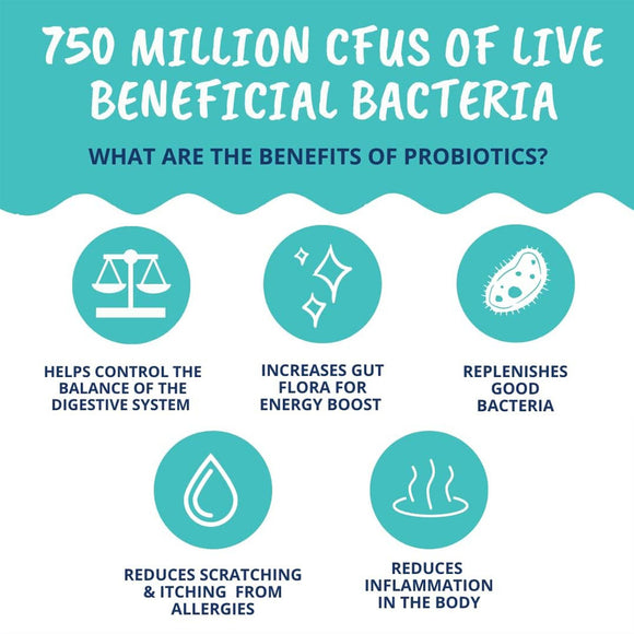 Under the Weather Probiotic Powder for Dogs