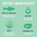 Under the Weather Allergy & Itch Powder for Dogs