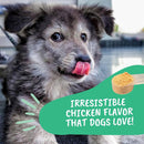 Under the Weather Allergy & Itch Powder for Dogs