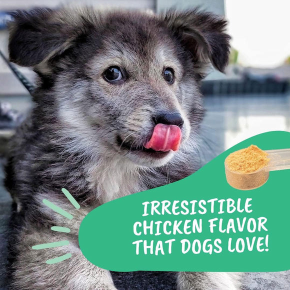 Under the Weather Allergy & Itch Powder for Dogs