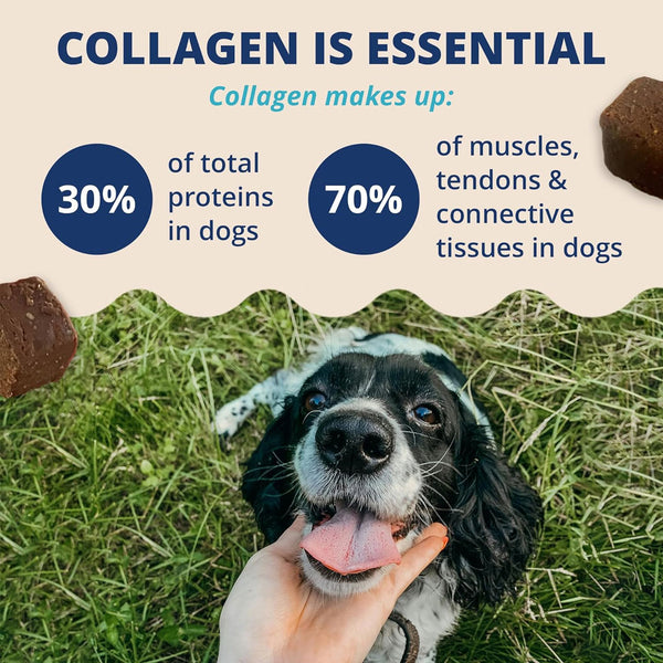 Under the Weather Collagen Soft Chews for Dogs