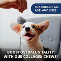 Under the Weather Collagen Soft Chews for Dogs