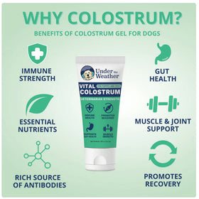 Under the Weather Vital Colostrum Gel for Puppies & Dogs, 3.5-oz - 0