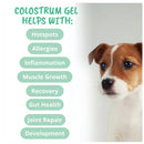 Under the Weather Vital Colostrum Gel for Puppies & Dogs, 3.5-oz-4
