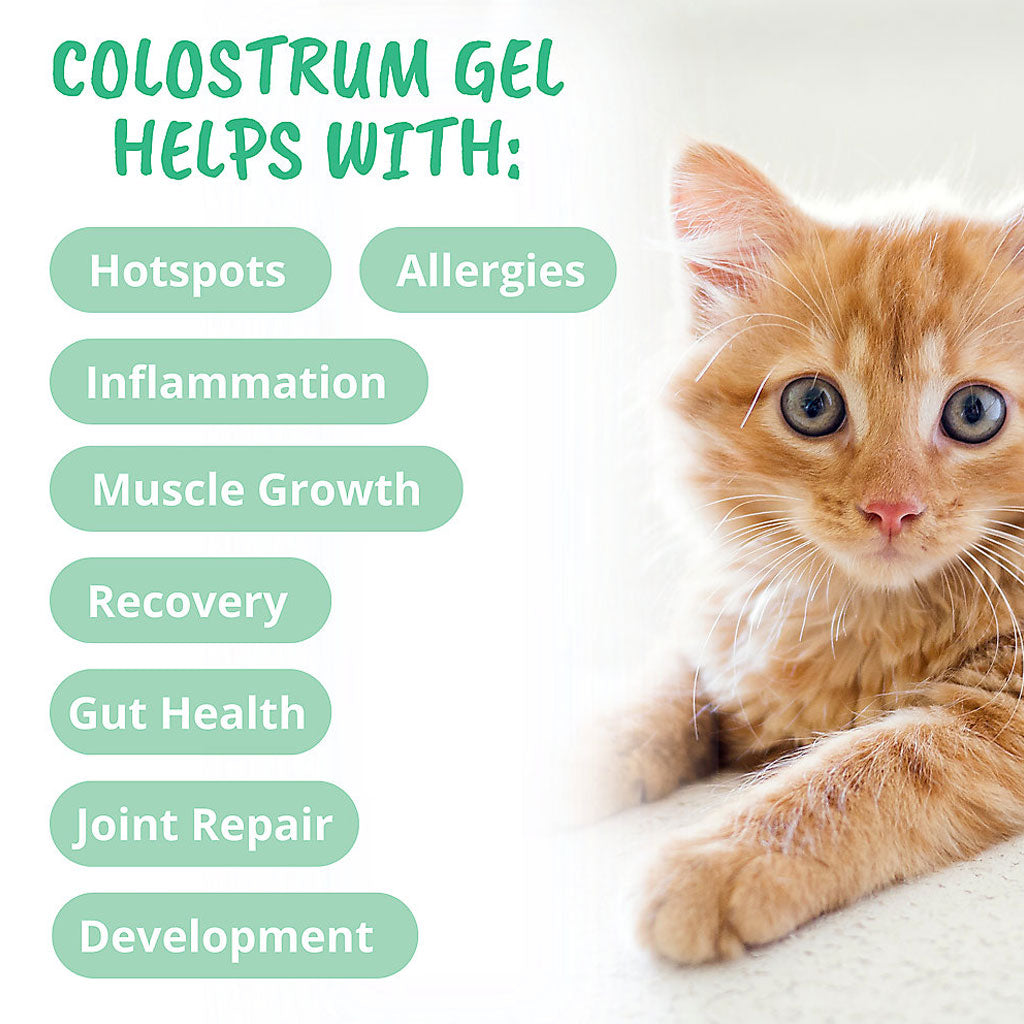 Under the Weather Vital Colostrum for Kittens and Cats