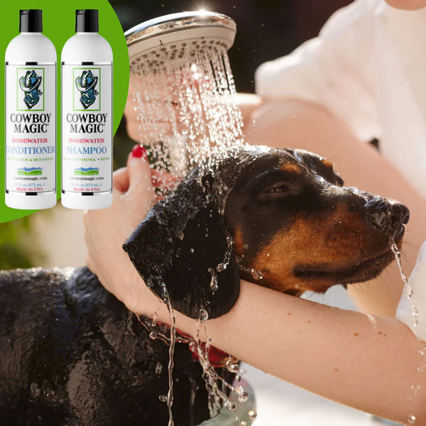 cowboy magic rosewater conditioner 16oz with dog