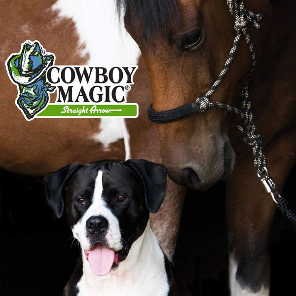 cowboy magic shine in yellowout shampoo 16oz dogs and  horse