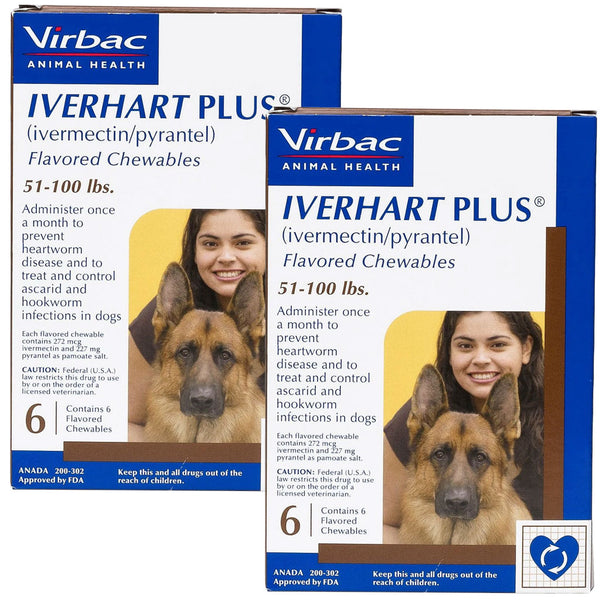 Iverhart Plus Chewable Tablet for Dogs 51-100 lbs 12 chewable
