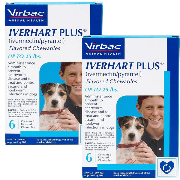 Iverhart Plus Chewable Tablet for Dogs 1-25 lbs 12 chewable