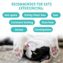 Under the Weather Probiotic Soft Chews for Cats