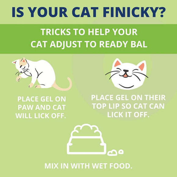 Under the Weather Ready Balance Oral Probiotic Gel for Cats