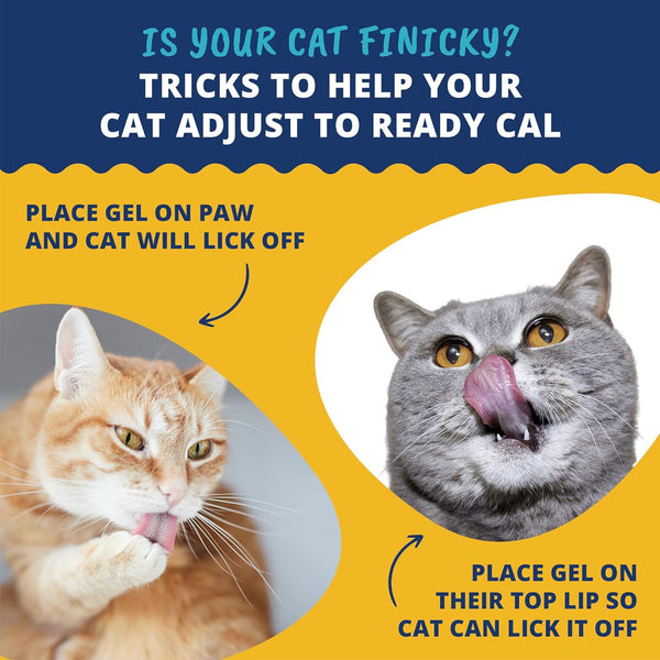 Under the Weather Ready Cal High Calorie Food Supplement for Cats