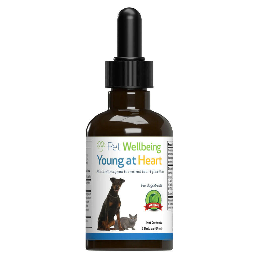 Young at Heart for Healthy Heart Maintenance in Cats (2 oz)