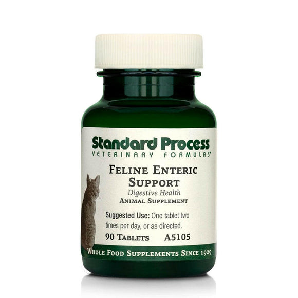 standard process feline enteric support