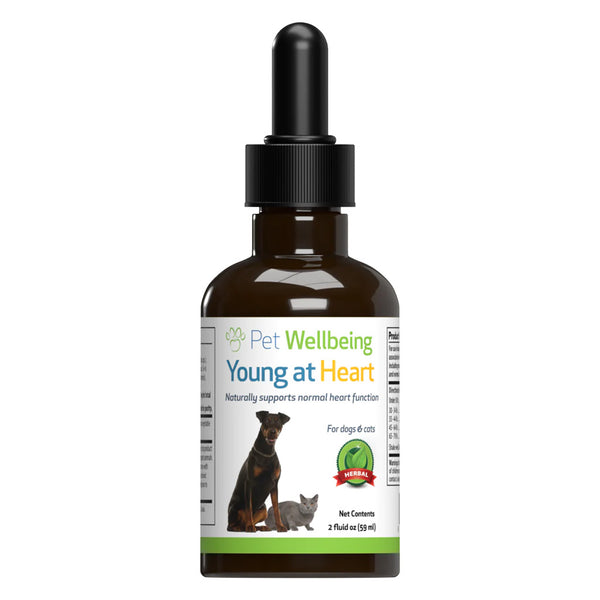 Young at Heart - for Healthy Heart Maintenance in Dogs (2 oz)