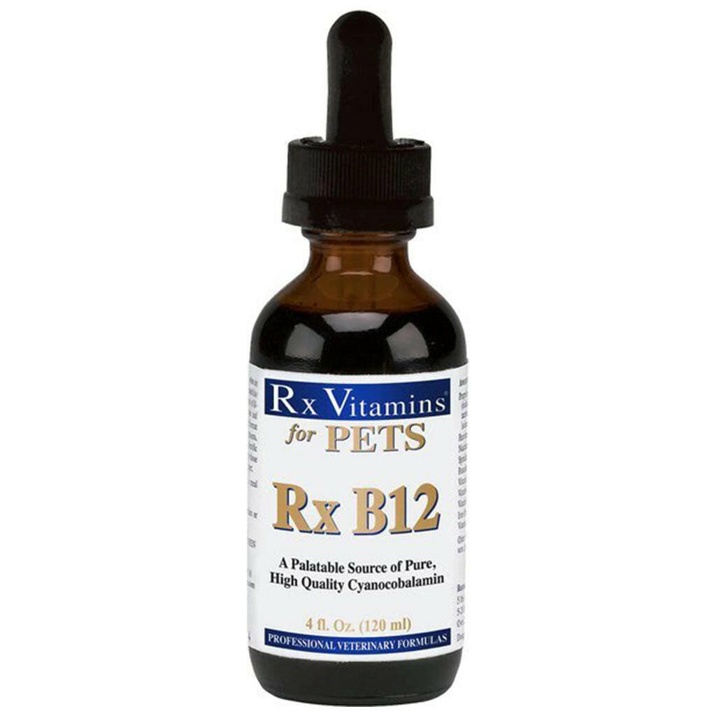 Rx Vitamins Rx B12 Liquid Digestive Supplement For Dogs and Cats (4 oz)