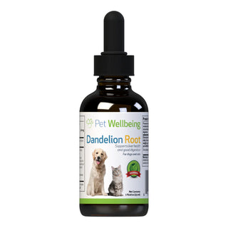 Dandelion root for dogs supports digestive and liver health