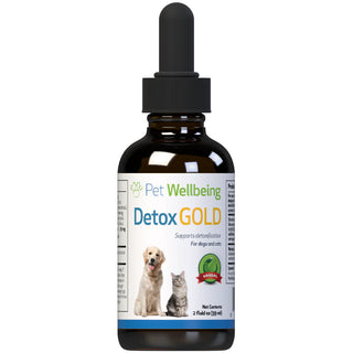 Detox gold is one of the many cat supplements for immune system. 