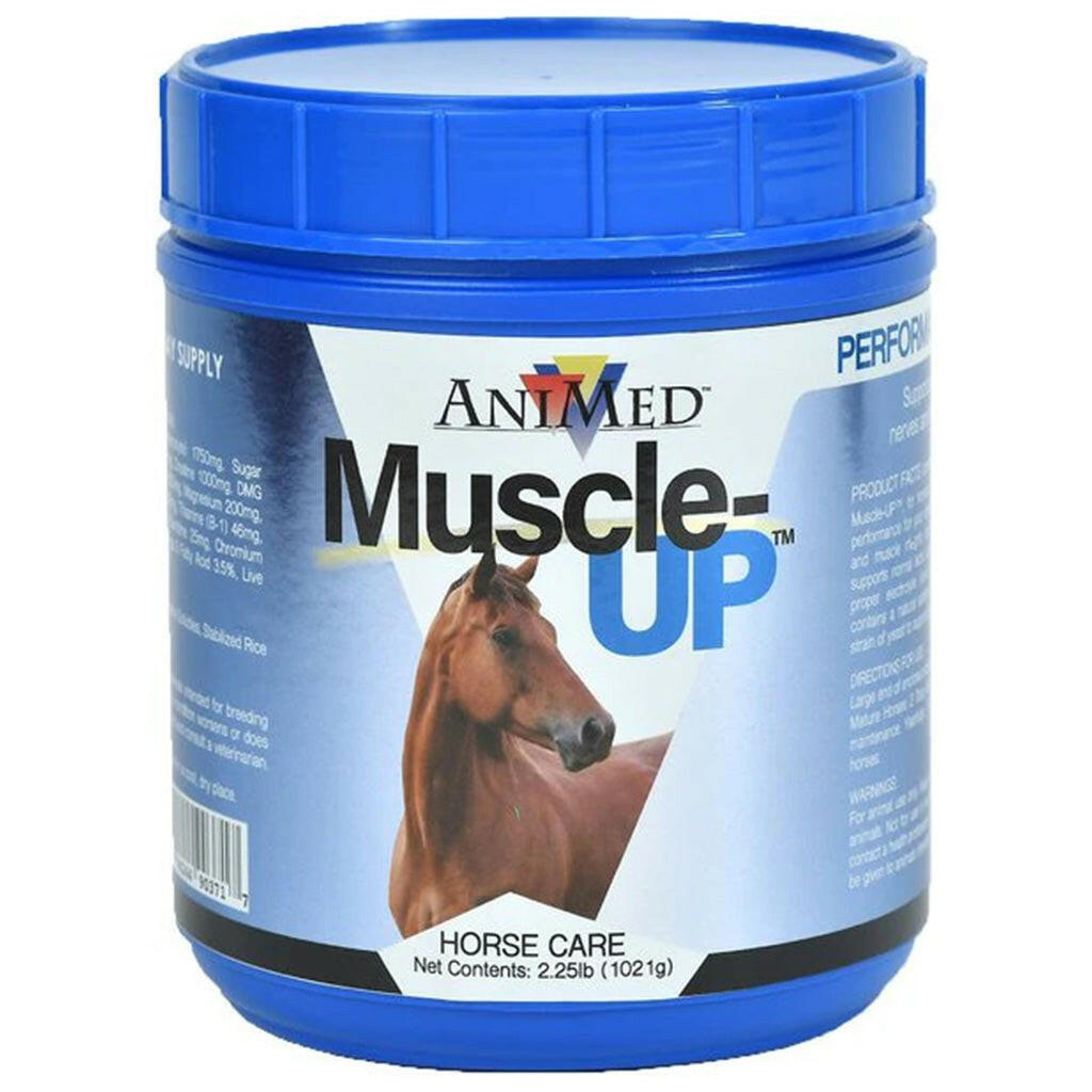 AniMed Muscle-Up Powder Supplement for Horses