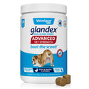 Glandex Advanced Vet Strength for Dogs, Duck & Bacon Flavor (120 soft chews)