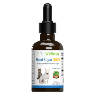 Blood Sugar Gold is a cat supplement that works to maintain normal blood sugar in cats