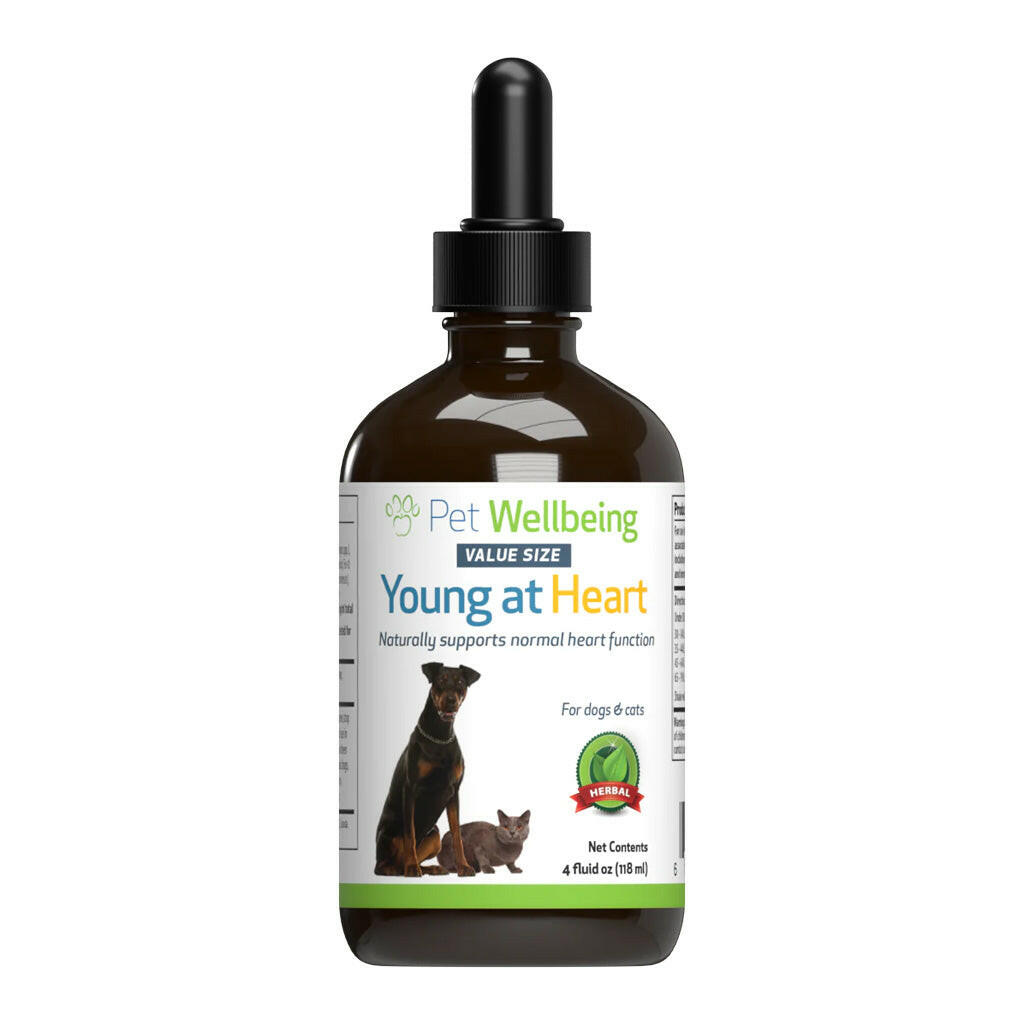 Young at Heart - for Healthy Heart Maintenance in Dogs (4 oz)