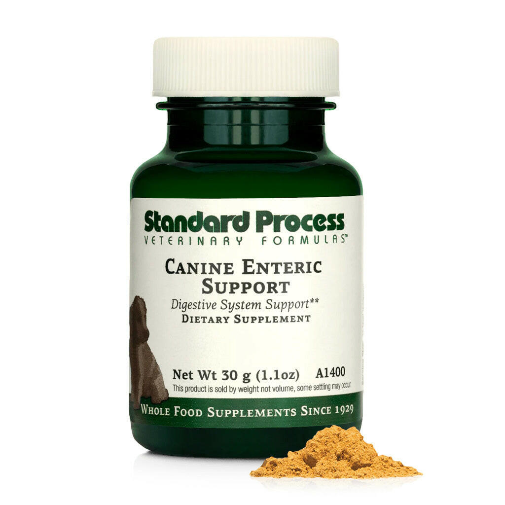 standard process canine enteric support