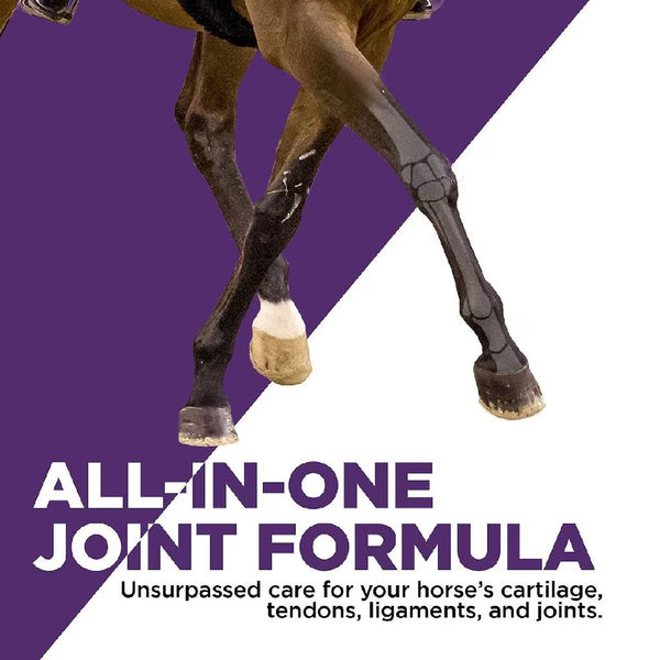 Formula 707 Joint Pellets Horse Supplement 6-in-1 (5 lb 40-80 Servings)