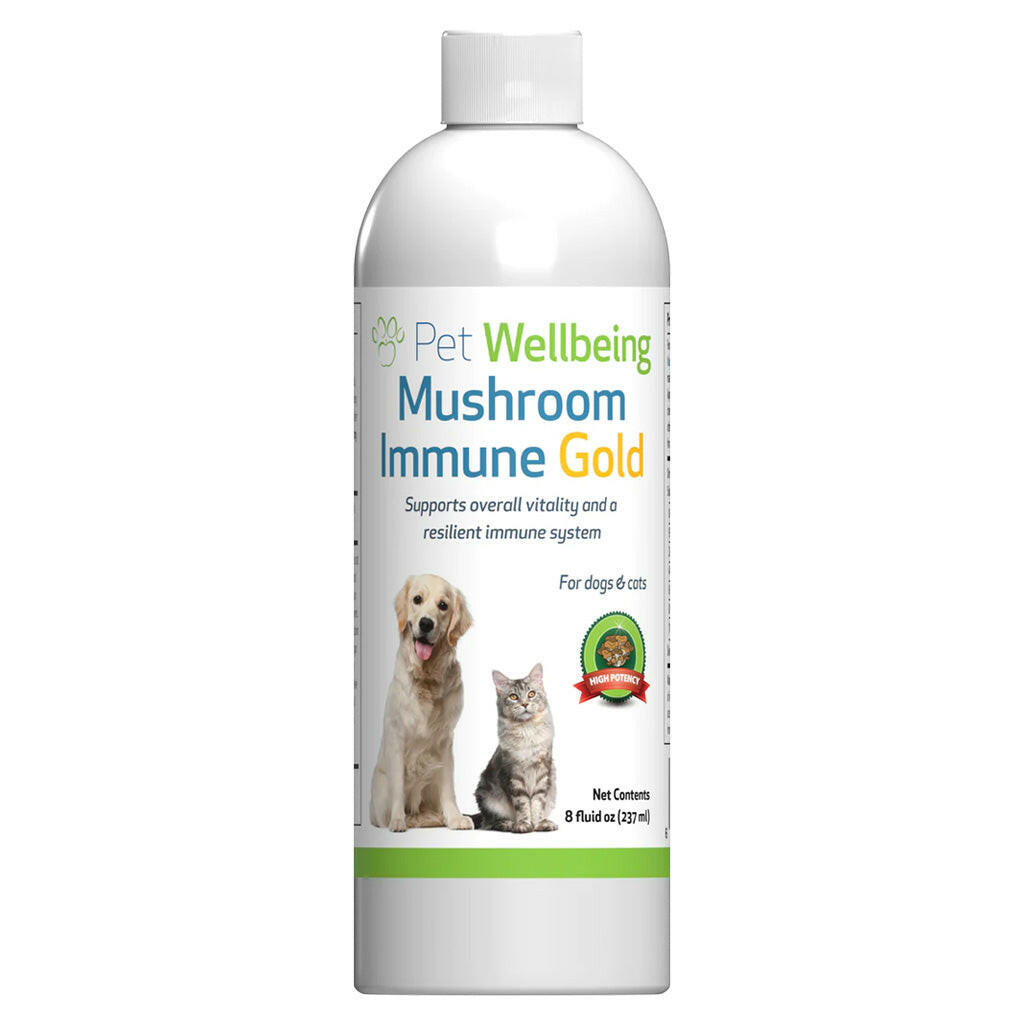 Mushroom Immune Gold - Holistic Cancer Support for Cats (8 oz)