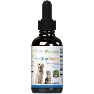 Healthy dog gums are important for maintaining oral health. 
