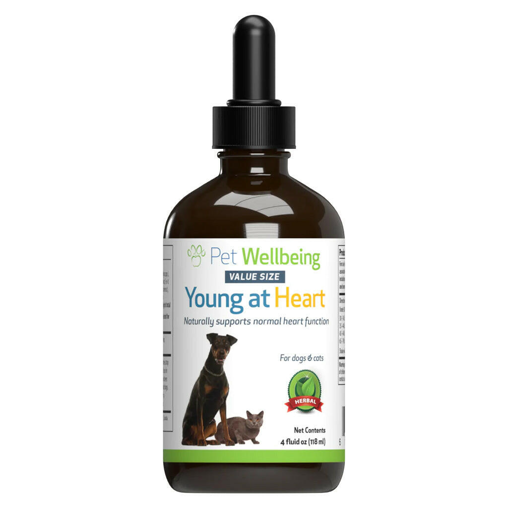 Young at Heart for Healthy Heart Maintenance in Cats (4 oz)