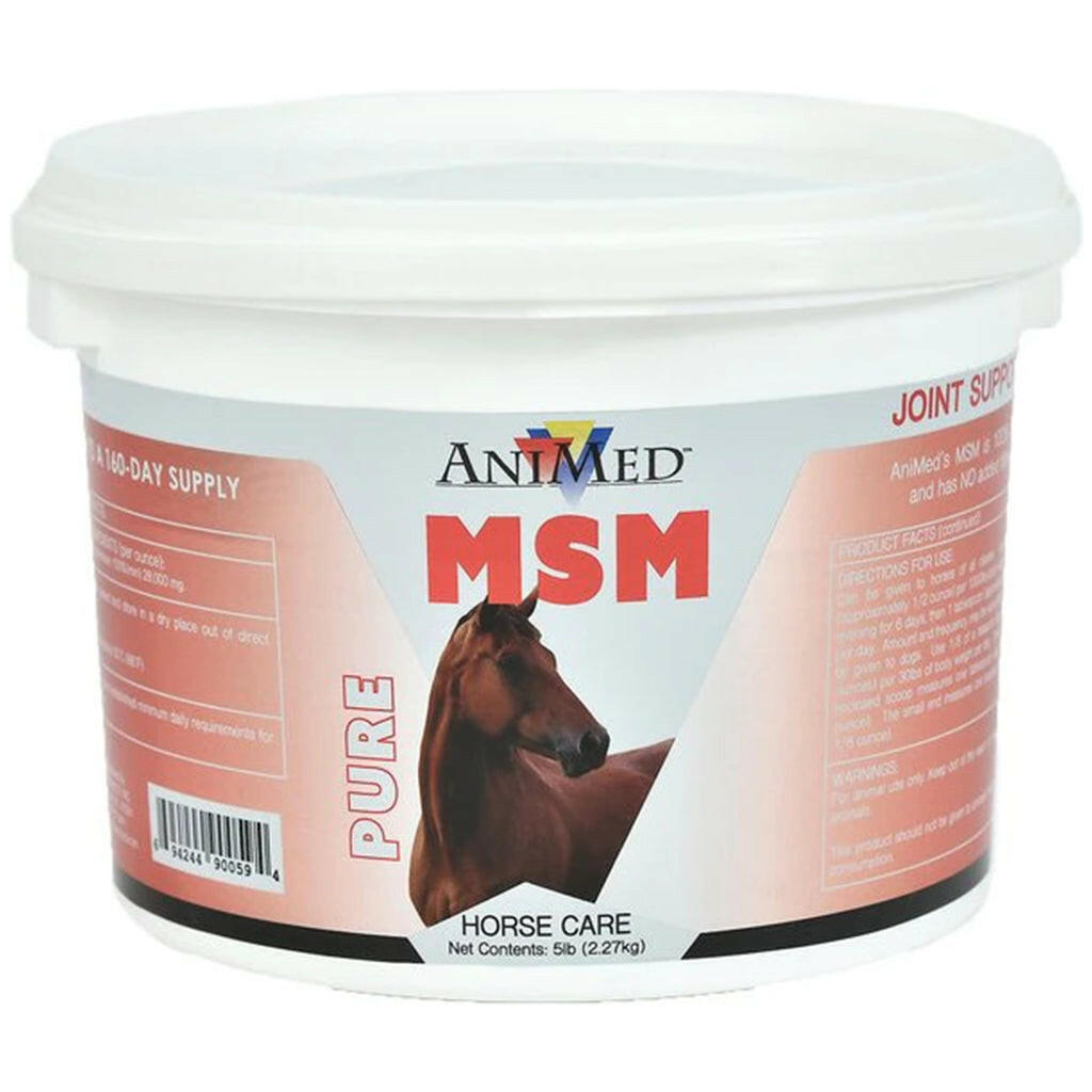 pure msm powder