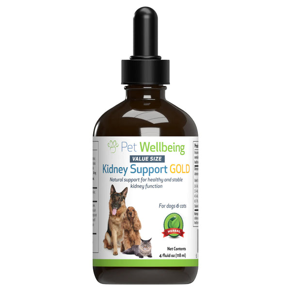 Kidney Support Gold for Cats (4 oz)