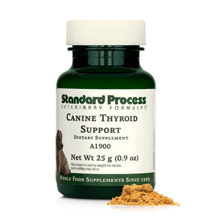 Standard Process Canine Thyroid Support (25 g)