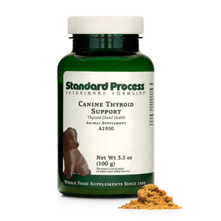 standard process thyroid support for dogs