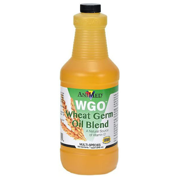 AniMed WGO Wheat Germ Oil Blend Support For Horses (32 oz)
