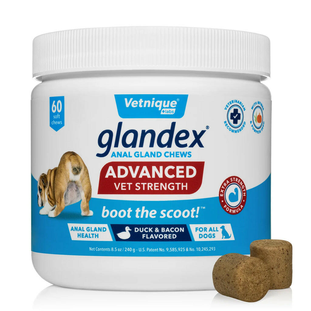 Glandex dog chews