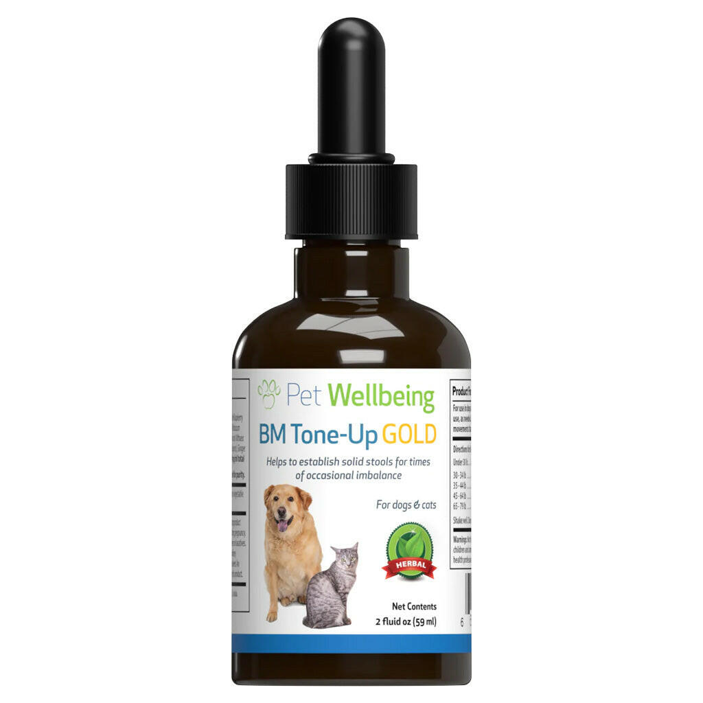 BM Tone Up Gold is an effective loose stool in cats treatment