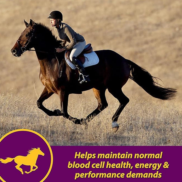 Red Cell Vitamin-Iron-Mineral Supplement for Horses (Gallon)