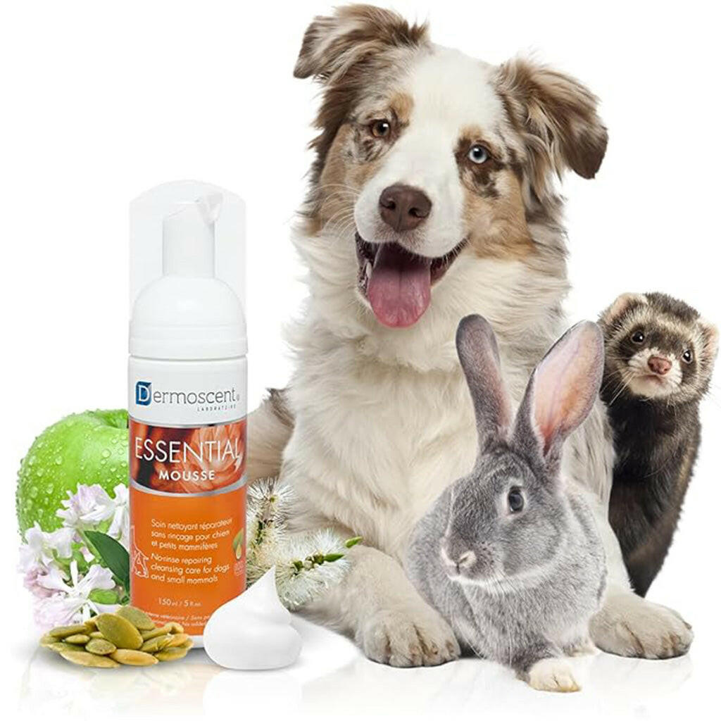 Dermoscent Essential Mousse for Dogs (150 ml)