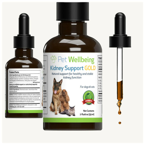 Kidney support gold gives natural support for healthy and stable kidney function in dogs
